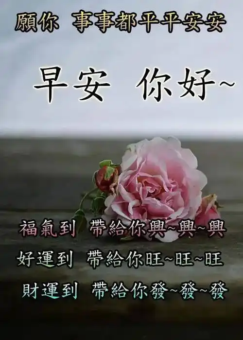 原创8张清新漂亮春天早安早上好图片带字带祝福语免打字聊天的朋友圈