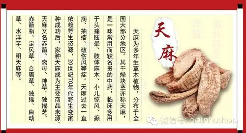 【大金湖滋补中药材】天麻的功效与作用