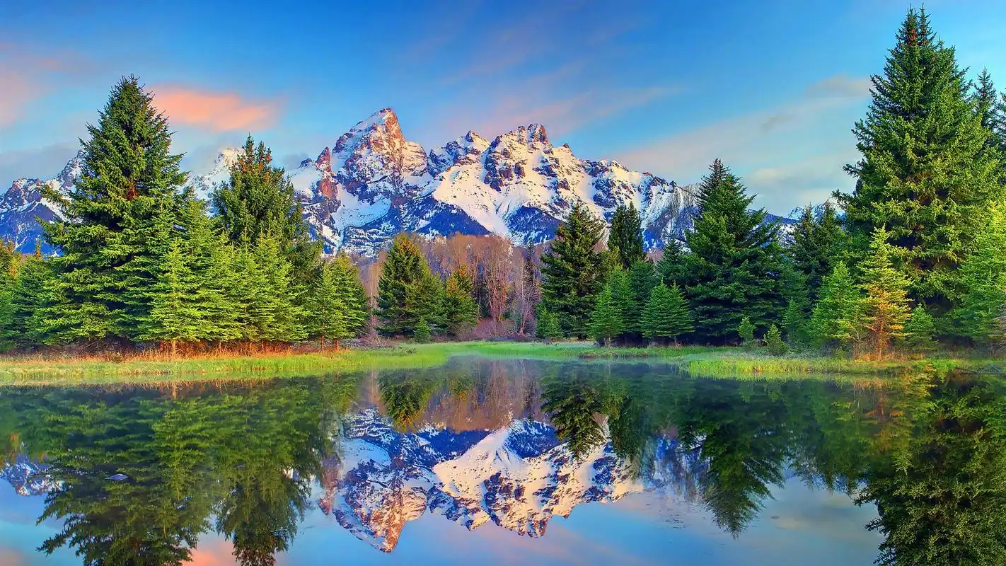 绿色清新护眼自然风景桌面壁纸高清大图预览1920x1080_风景壁纸下载