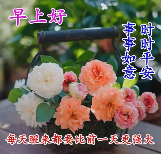 早上好图片图集早上好图片最美温馨2020