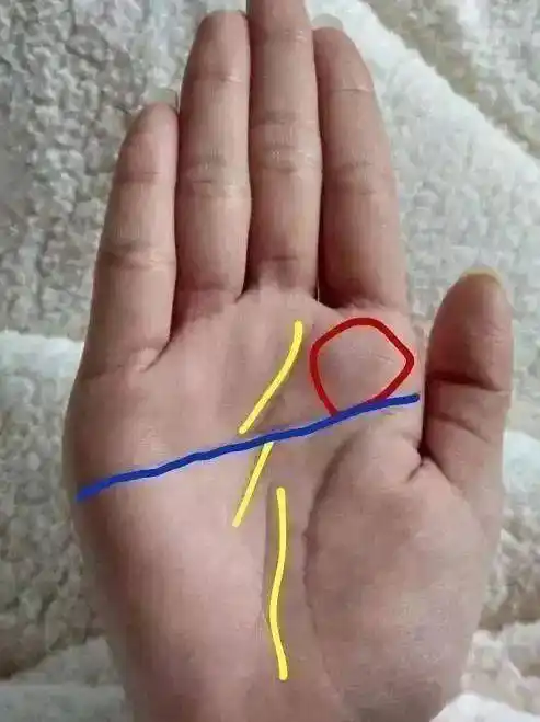 手相有"凤尾纹"的人, 一生福禄多, 至少旺三代!_理财_事业_后期