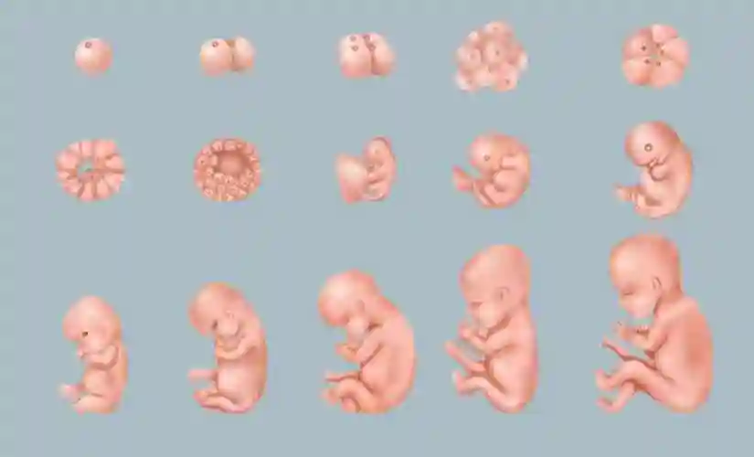 怀孕38周生的宝宝跟40周生的区别大吗