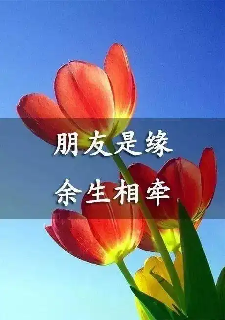 朋友与知己
