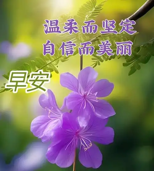 2023年11月11日周六早上好温馨的早安祝福图片带问候语暖心的问候祝福