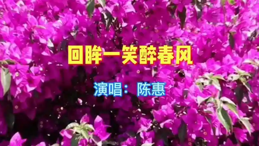 陈惠原唱回眸一笑醉春风旋律婉转醉人心扉令人回味