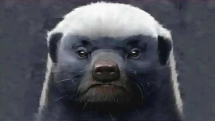 平头哥胆子有多大不是在打架就是去打架的道路上