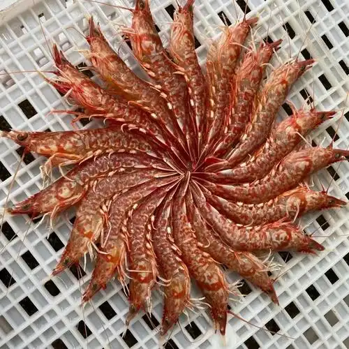 樱花虾海捕活冻高品质鲜甜酥脆