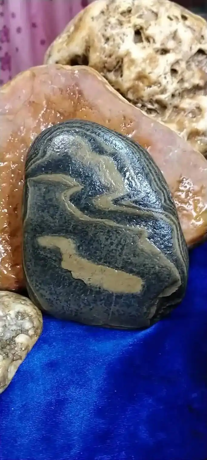 疫情期间#石头作品欣赏 ! - 抖音