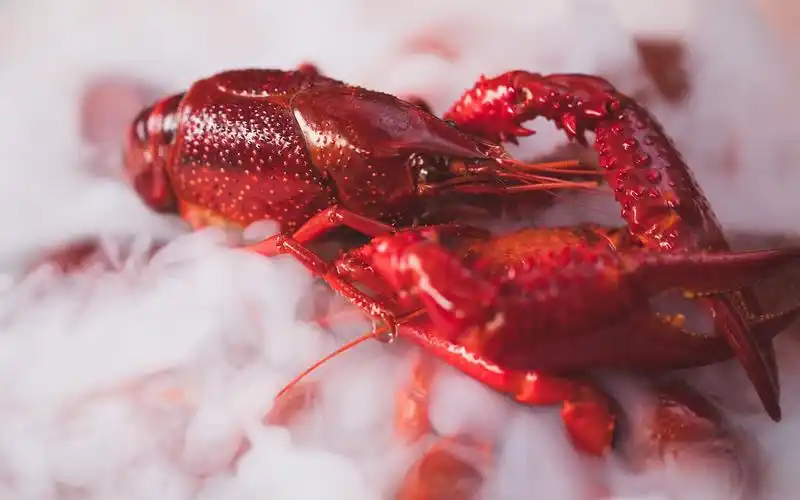 【冰镇小龙虾】