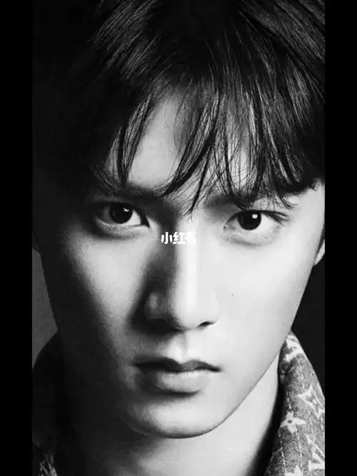 众所周知,吴彦祖是帅的形容词!刘耀文的帅是客观的!