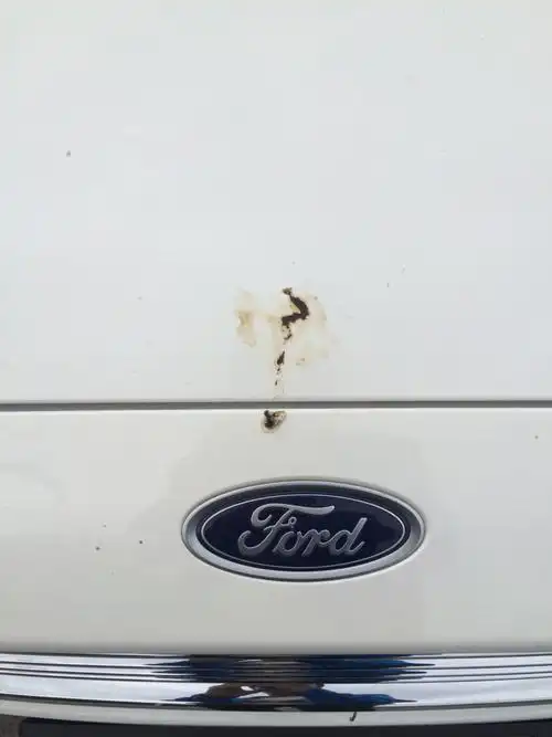 妈了个蛋 鸟屎真是讨厌