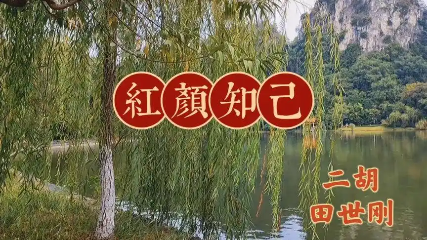 田世刚二胡独奏《红颜知己》,琴声瑟瑟波荡起伏如泣如诉如痴如幻-音乐