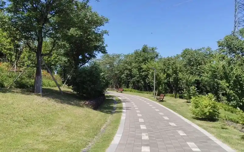 雨后来天气凉爽