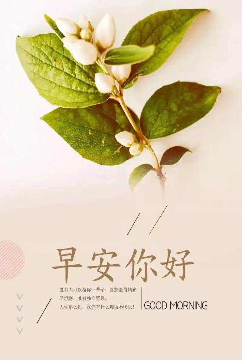 早安句子1 1"没有丑女人,只有懒女人"尽可能把自己打扮得干净精致时尚