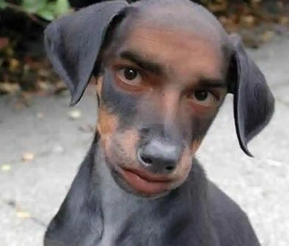 幽默图集!保证你笑的肚子疼