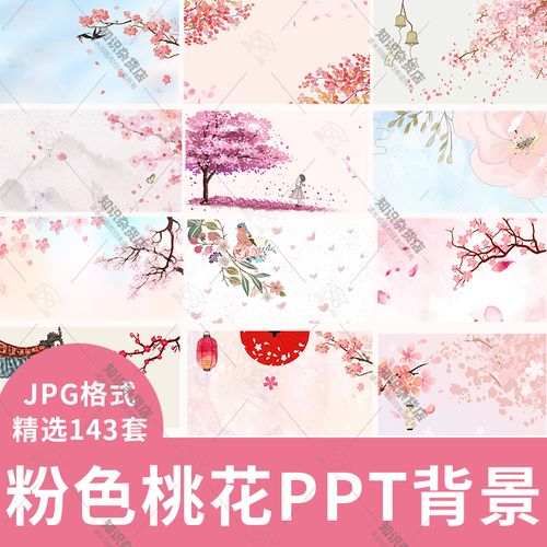 唯美粉色桃花ppt封面底图樱花背景图片设计装饰素材模板jpg文档