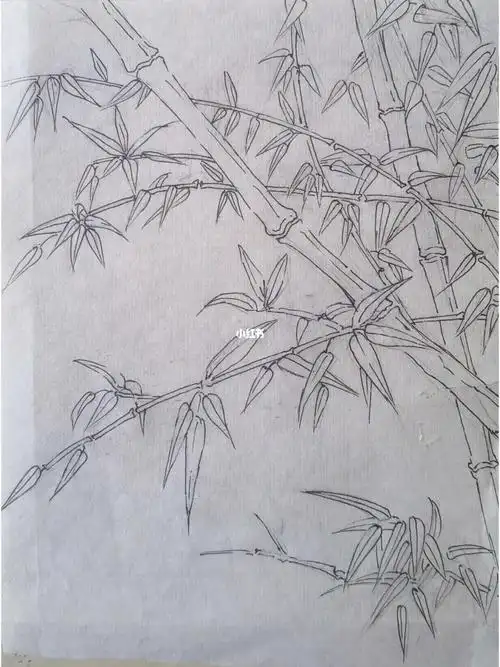 白描竹子