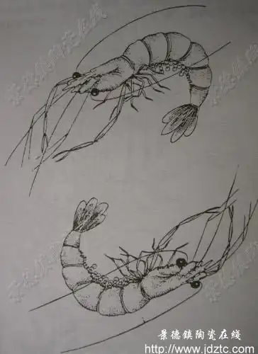 两只虾的图 虾腰呈铠甲形状自由弯曲,且有弹跳力,含有圆滑,顺调之意