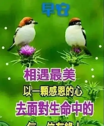早安表情包微信温馨的早安短信问候祝福语大全2020好看的早安祝福图片