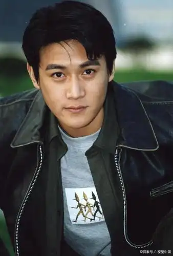 影视歌三栖明星,陆毅