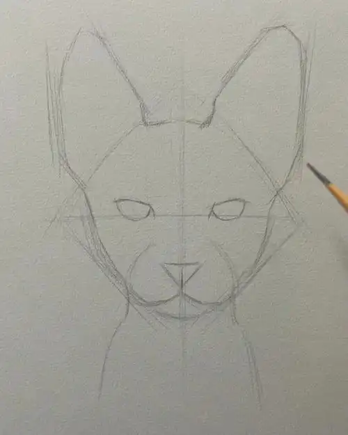 素描无毛猫的画法附步骤图哦