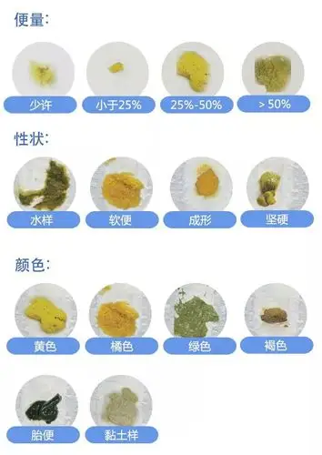平时观察宝宝的便便可以从4个维度进行:形状,颜色,大小和气味.