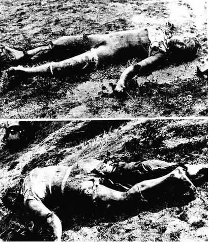 老照片:红色延安十大美女的人生结局