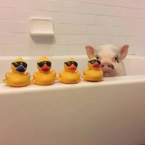 沙雕朋友圈背景图一眼就看出你的与众不同