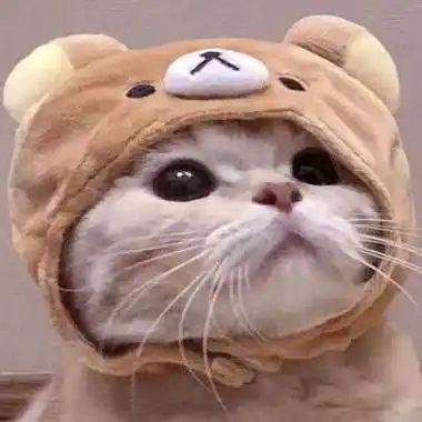 抖音头像男士猫男生头像图片大全爱个性