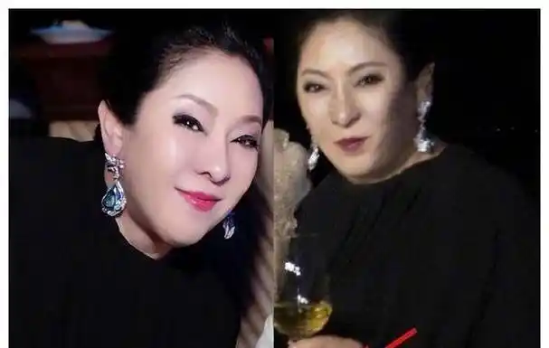 "向太"陈岚:掏8000多万买钻石项链嫌便宜,儿媳生娃奖上亿别墅_美女