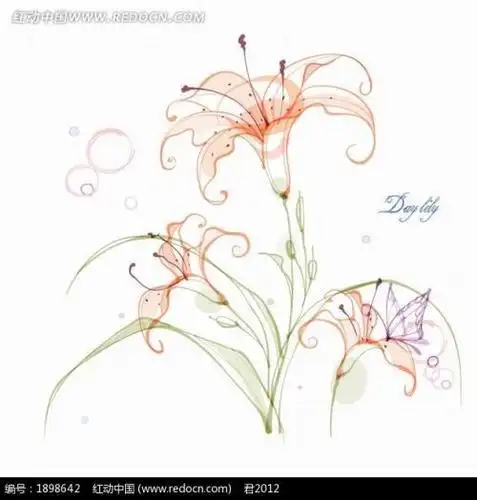 彩铅花卉花边手绘简笔画集