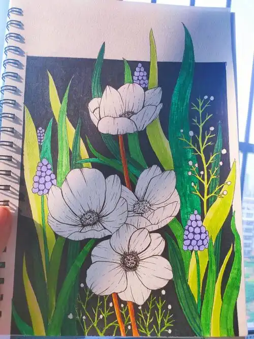 针管笔手绘马克笔花卉创意插画教程