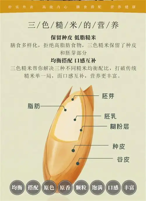 三色糙米饭杂粮健身新糙米粗粮主食杂粮组合代餐营养三色糙米限购三色