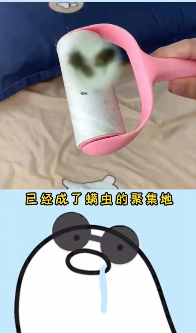 螨虫卵隐藏在床下被子里,即使晒太阳也不管用.开学 - 抖音
