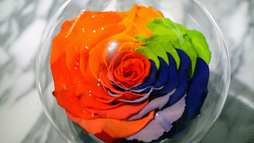 抱歉啊今年可能没法和你一起过情人节了