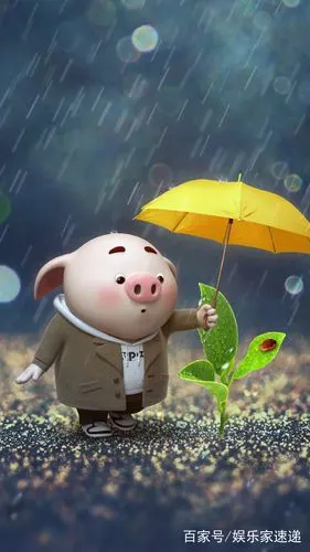 这是我看过最可爱的猪,手机壁纸福利快收下!