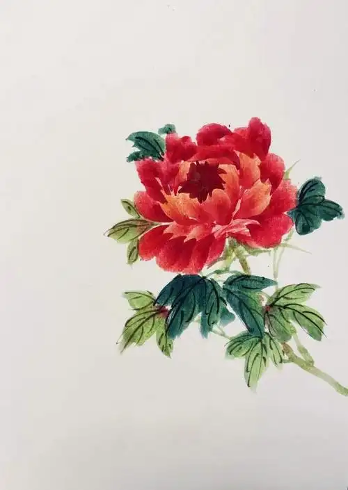 牡丹花(切瓣法)—丹红笑春风