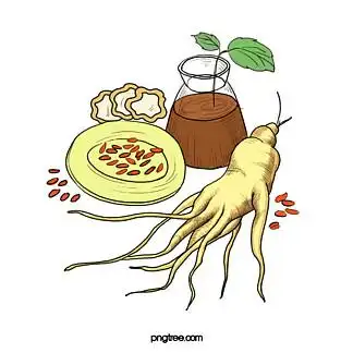 插画中药人参卡通创意设计可爱插画中药人参1991卡通手绘人参元素卡通