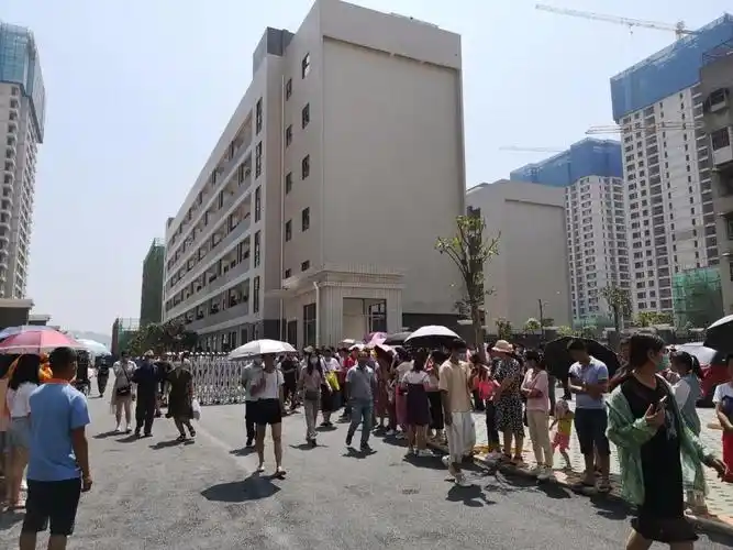 白沙小学现场报名首日柳州市白沙小学学区范围:跃进路:双号114-126号