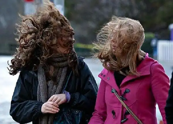 狂风吹乱了你的发型,却没有吹走今天的干货