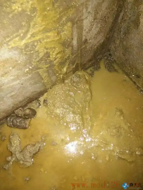 养猪疾病治疗保育猪第一张墨绿色粪便属于什么原因第二三张稀便