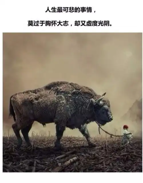 即使看不到希望即使看不到未来,也相信自己的选择不会错,自己的未来不