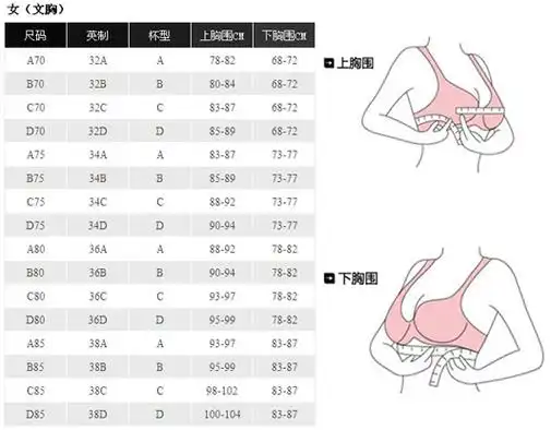 女人a罩杯到f的照片真人版a到f罩杯的大小示意图