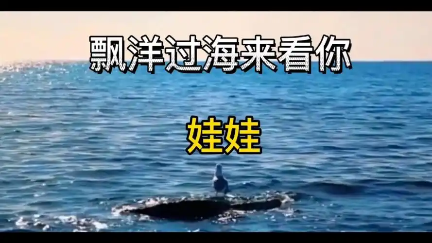 娃娃《飘洋过海来看你》