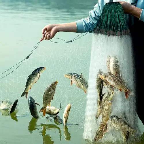 鱼网捕鱼粘网三层沉网逮鱼丝网不缠拦河进口鱼网
