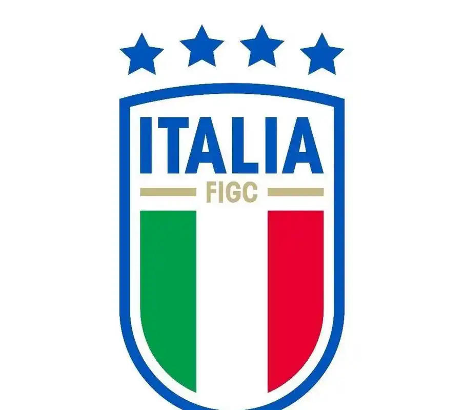 突然发现夺冠后的阿根廷队徽,和其他球队不太一样!