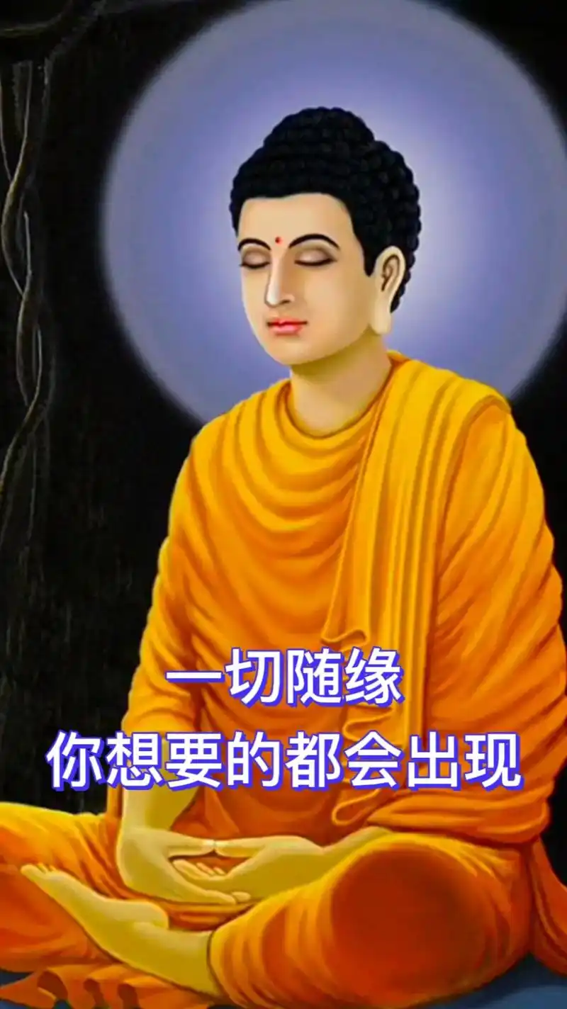 抖音图文来了#人生感悟#佛语禅心 #佛说聚散不由人,得失天 - 抖音