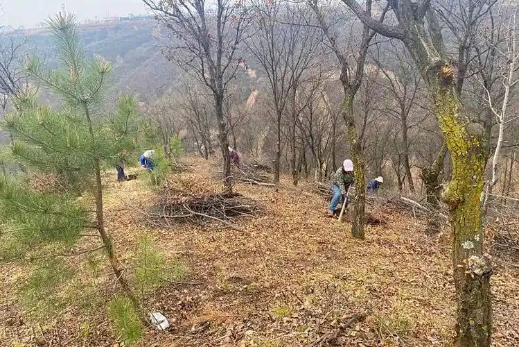 市黄龙山国有林管理局检查组深入界头庙国有生态林场_