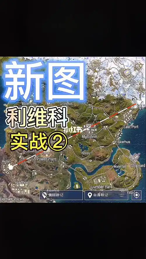 国际服新图利维科实战②