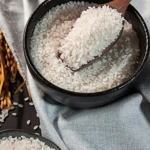 正宗原阳大米黄金晴5kg盐碱地粳米gb/t22438真空包装10斤当季新米